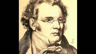 Franz Schubert - Trout Quintet:  Tema Con Variazioni