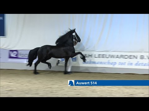 Auwert 514 wint rubriek 6