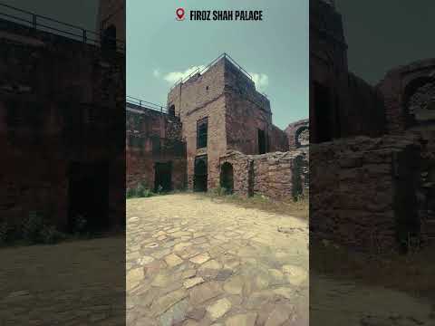 Firoz Shah Palace Hisar  #haryana  #firozshahpalace  #shortvideo #youtubeshorts #shorts