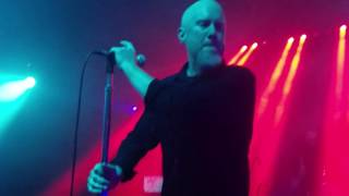 Assemblage 23 Live in Elmhurst ,Queens NYC October 1,2016 (1)