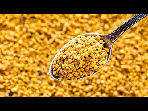 Vlerat e Mrekullueshme Për Organizmin - Ky është Poleni i Bletës