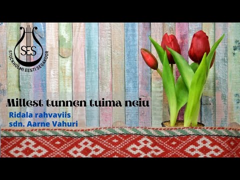 Stockholmi Eesti Segakoor - Millest tunnen tuima neiu, Ridala rahvaviis