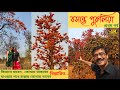 Purulia Tour বসন্তে পুরুলিয়া Purulia Tourism Ajodhya Hill Purulia Tra