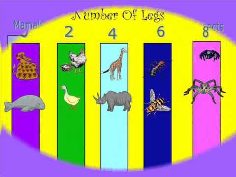 The Animal Kingdom by Satvika and Wilfred