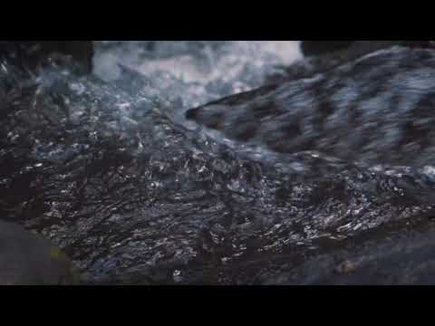 2. Vk Mac - MEU BEM (prod. Vk Mac)