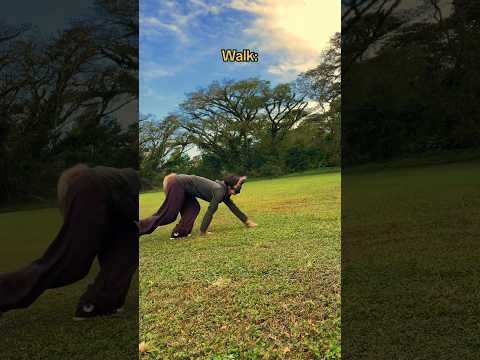 My quadrobics form! {a showcase} #therian #quadrobics #fox