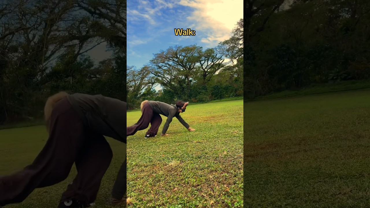 My quadrobics form! {a showcase} #therian #quadrobics #fox