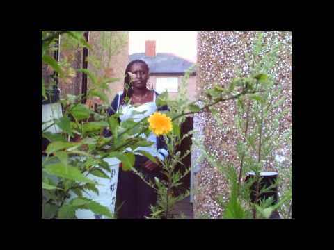 SWEET REGGAE RIDDIMS------SENNID/GRANNY