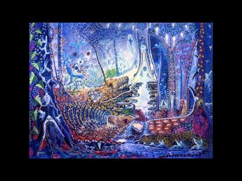 DMT Trip Experience Amazing Visions