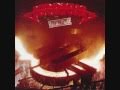 Krokus-Smelly Nelly