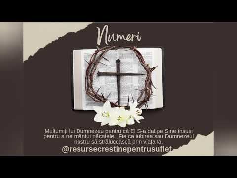 04. Numeri I  @resursecrestinepentrusuflet