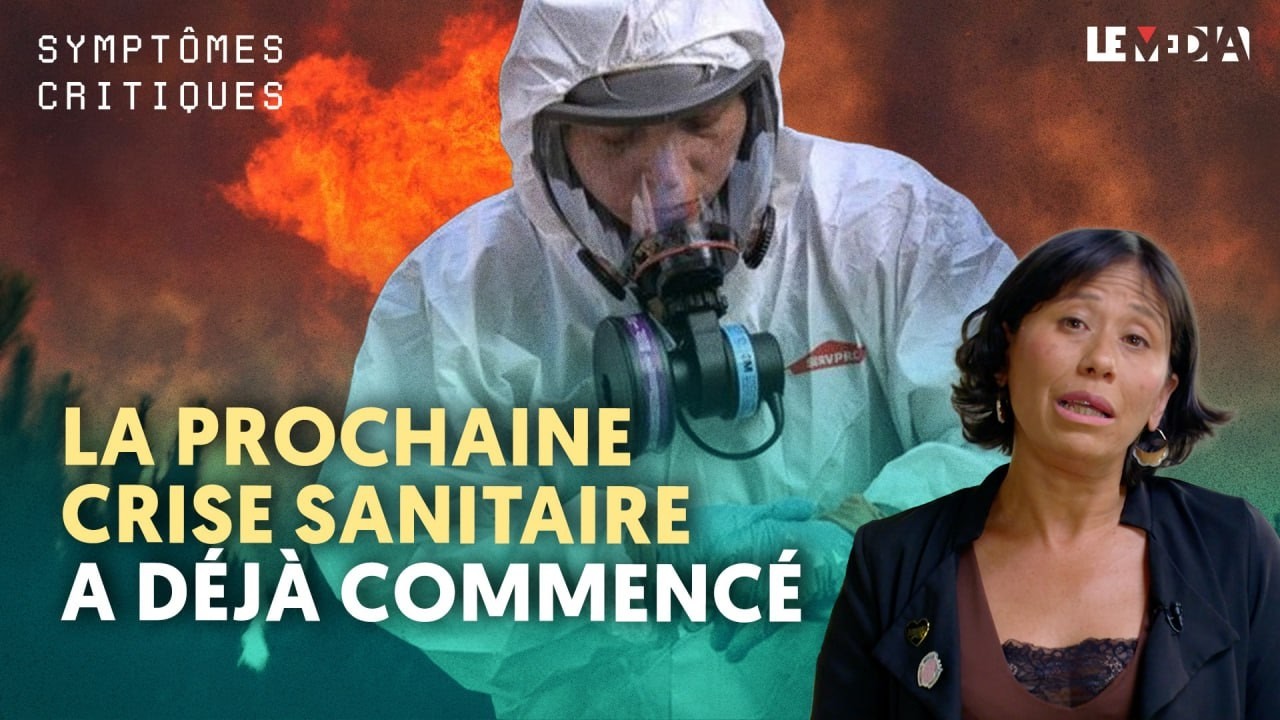 Illustration: Chlordécone, PFAS, cadmium : 60 ans de renoncements sanitaires d'État