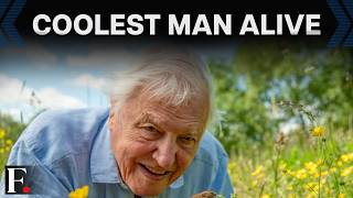 David Attenborough Turns 100, Global Tributes Pour In | FP Video
