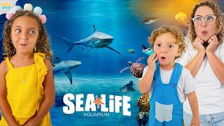 VISITAMOS UM AQUÁRIO E PASSAMOS POR BAIXO DOS TUBARÕES! 🦈 - FAMÍLIA BELLA E LUCCA SHOW