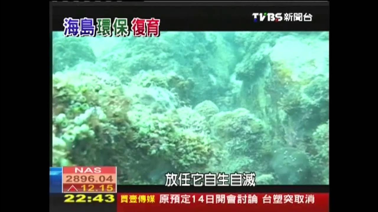 【悠遊熱帶嶼】情人島生態復育　柬國首海底實驗室