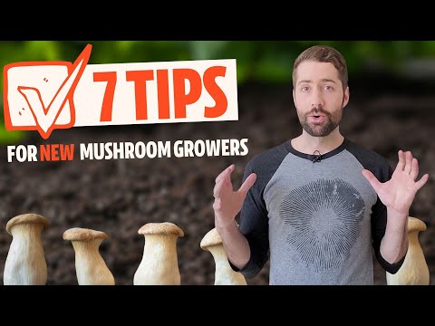 Top 7 Tips For Aspiring Mushroom Growers (If You've Never Grown Before)