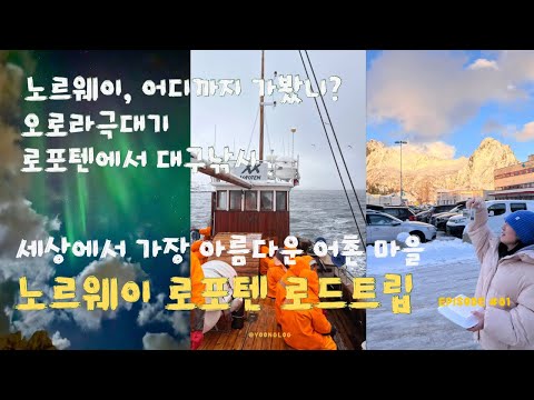 Lofoten Adventure Ep.1 | 7-Day Road Trip, Aurora Right Outside Our Cabin & Viking Experience!