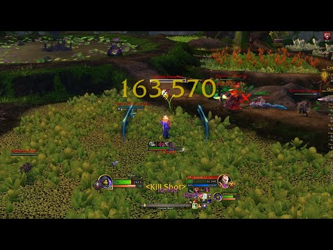 10.0.7 Marksmanship Hunter Dragonflight Season 1 PvP Crit Montage