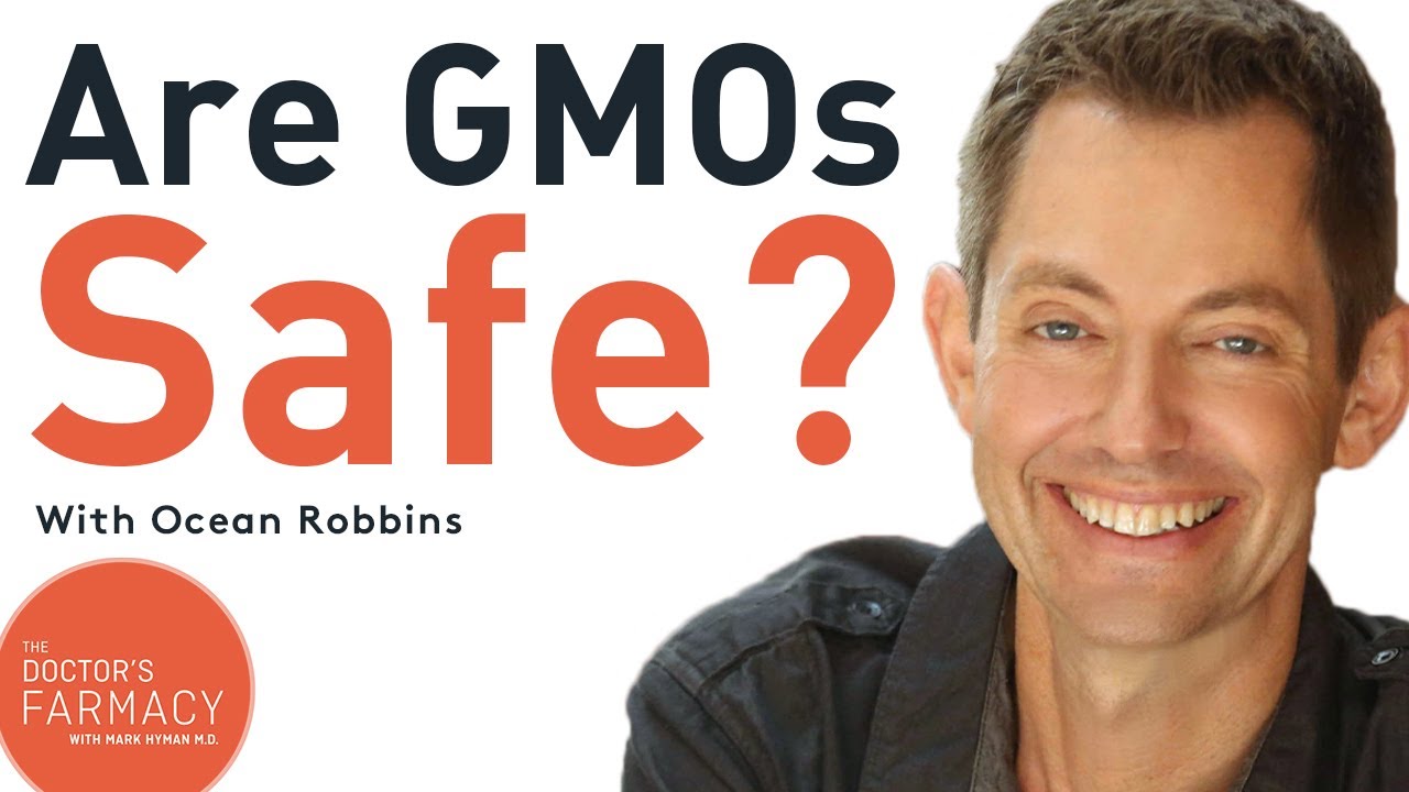Are GMOs Safe To Eat?
