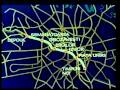 Metroul Bucurestean
