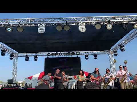 Thee Sinseers - What's His Name live at Hit The Switches