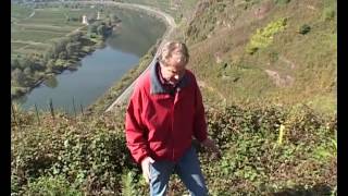 Thumbnail del capítulo