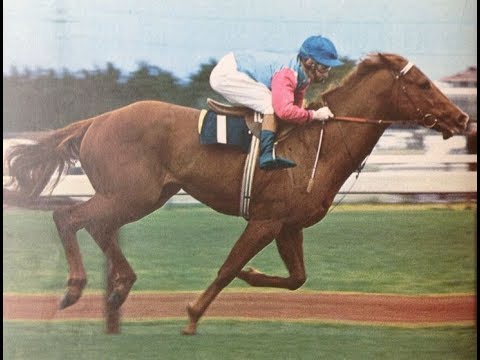 TEN GREAT CHAMPIONS 𝚝𝚑𝚎 𝟼𝟶'𝚜 & 𝟽𝟶'𝚜 _ VAIN