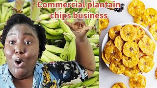 Plantain Chips Business in 2024|Practical Steps To Sell Your Plantain Chips for profit