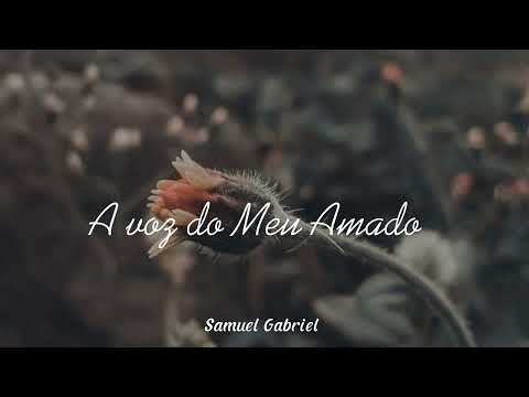 Hino Avulso CCB A voz do Meu Amado - Samuel Gabriel