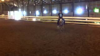 3 year old, triple registered palomino filly for sale