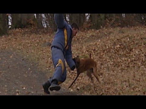 Spezialeinheit mit Biss Nr.2 - Hubschrauberangriff