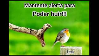HUYE DE LA TENTACIÓN Y EL PECADO, NO BUSQUES  LA TENTACIÓN