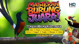 Download lagu WAJIB!! MASTERAN KOMBINASI UNTUK BURUNG JUARA!! JEDA TERAPI AIR mp3 Download lagu WAJIB!! MASTERAN KOMBINASI UNTUK BURUNG JUARA!! JEDA TERAPI AIR mp3