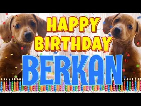 Happy Birthday Berkan! ( Funny Talking Dogs ) What Is Free On My Birthday