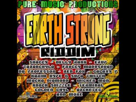 Supa Twitch feat. Karim Hype - Badmind Killer (Earth Strong Riddim) (2011)