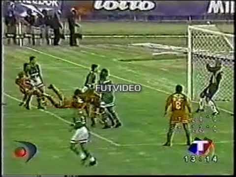 16-3-2000 (C. Lib.) El Nacional (Ec.):3 vs Palmeiras (Bra.):1