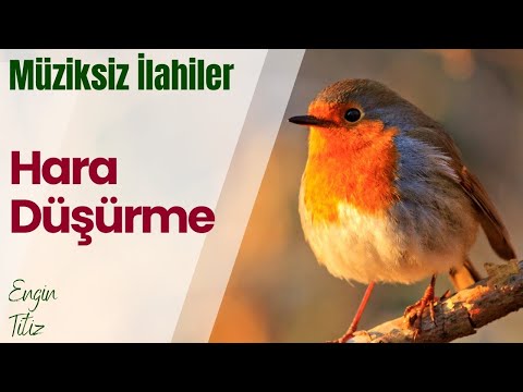 🌸 Hara Düşürme - Engin Titiz - Müziksiz İlahi #müziksizilahiler #engüzelilahiler 🌸