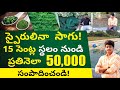 Spirulina Farming In Telugu - How to Start Spirulina Farming Business | స్పైరులినా ఫార్మ