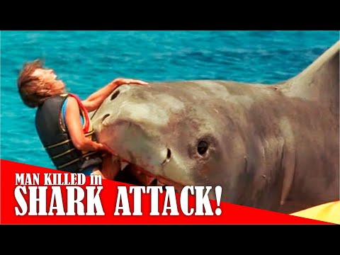 26-year-old Killed in Shark Attack at California Beach