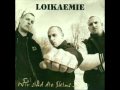 Loikaemie - Armes Schwein