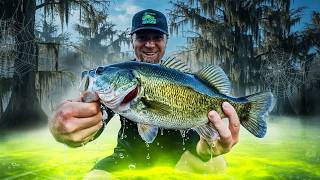 Testing the NEW 6th Sense BFS Rods… And Everything Went WRONG!