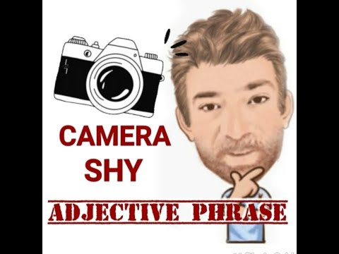 English Tutor Nick P Adjective Phrase (136) Camera-Shy
