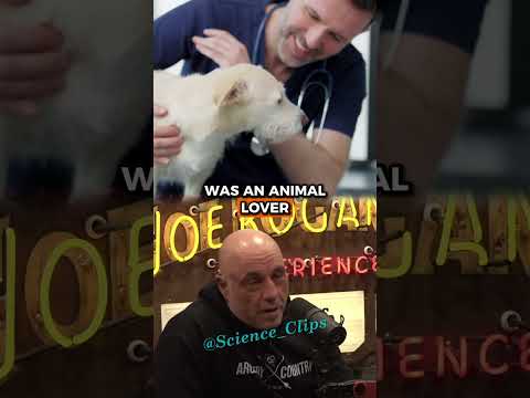 Joe Rogan on Neutering Dogs and What Two Vets Said