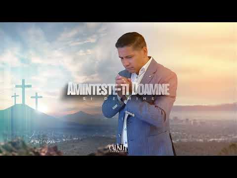 Calinut Gheorghe - AMINTESTE-TI DOAMNE SI DE MINE [ Official Audio 2023 ]