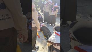 Download lagu Lucu nya bocil pramuka bikin tandu #shorts #ceritasiswa #persami mp3