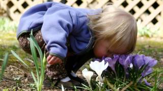 Dana Winner   Let the Children Have a World