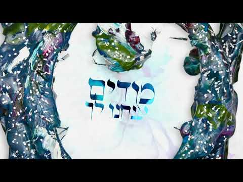 Thank You Hashem and Lipa Shmeltser- I'm Thankful that I can thank