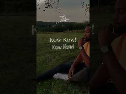 Durkheim - Kow Kow (Vertical Lyrics Video)