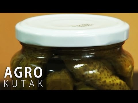 Agro Kutak 17 - Kornišoni - Svojat