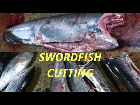 Big Swordfish cutting and Big Tuna fishes caught by Longline fishing | fisherman | fishing | Srilank